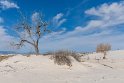 024 White Sands NM